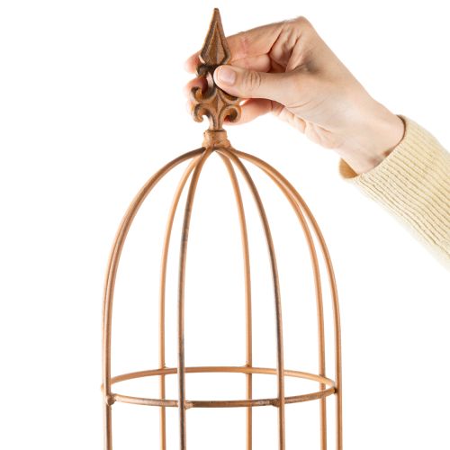 položky Zahradní treláž, pomůcka pro lezení růží a dalších popínavých rostlin, ideální zahradní design, 108 cm, sada 2 kusů.