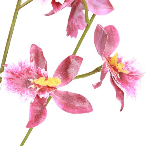 položky Oncidium Umělá dekorace Orchideje růžová fialová 93cm 2ks