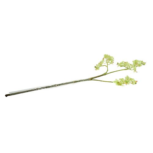 Floristik24 Orchidej 97cm světle zelená