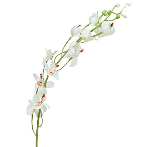 Floristik24 Orchidej Mokara bílá 92cm 3ks