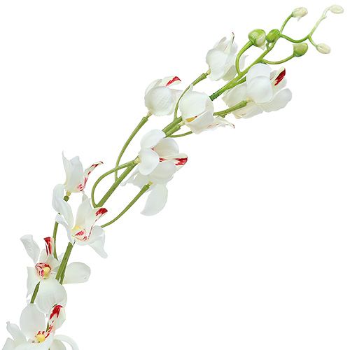 položky Orchidej Mokara bílá 92cm 3ks