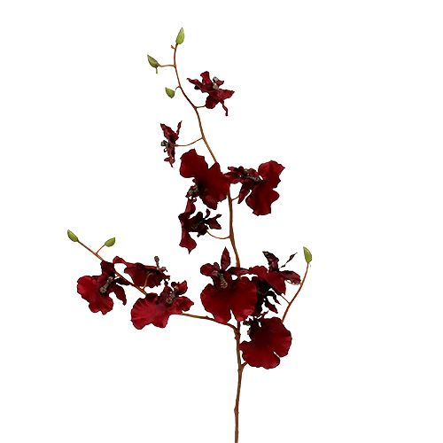 Floristik24 Orchidej Oncidium 70cm tmavě červená 3ks
