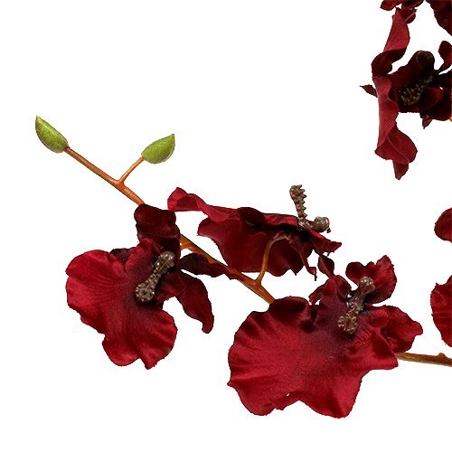 Floristik24 Orchidej Oncidium 70cm tmavě červená 3ks