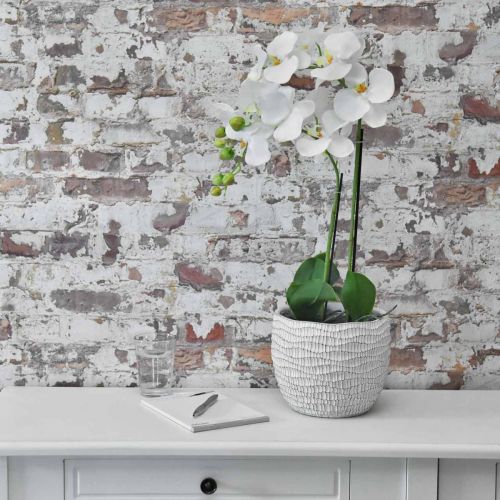 Floristik24 Orchidej bílá na 65cm žárovce