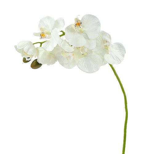 Floristik24 Orchidej bílá umělá L73cm 4ks