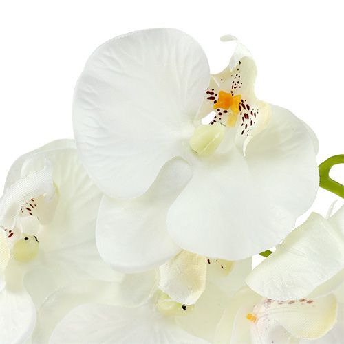 Floristik24 Orchidej bílá umělá L73cm 4ks