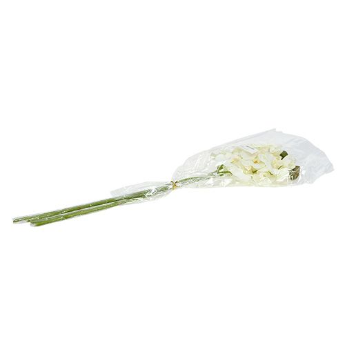Floristik24 Orchidej bílá umělá L73cm 4ks