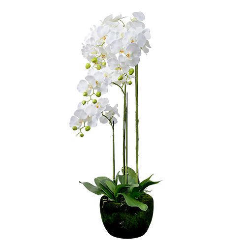 Floristik24 Orchidej bílá se zeměkoulí 110cm