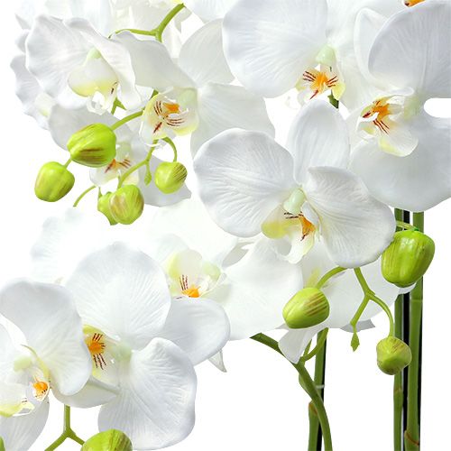 Floristik24 Orchidej bílá se zeměkoulí 110cm