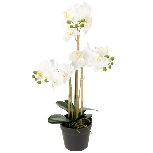 Floristik24 Umělá orchidej v květináči pro harmonickou atmosféru, bílá, 60 cm