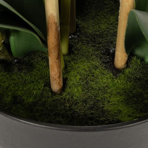 položky Umělá orchidej v květináči pro harmonickou atmosféru, bílá, 60 cm