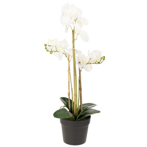 položky Umělá orchidej v květináči pro harmonickou atmosféru, bílá, 60 cm