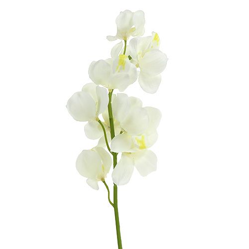 Floristik24 Umělá orchidej krém 50cm 6ks