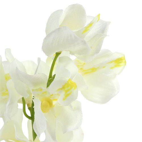 položky Umělá orchidej krém 50cm 6ks