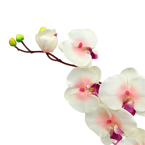 Floristik24 Orchidej se 2 větvemi 60cm bílo-růžová