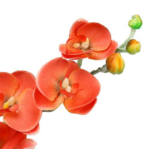 Floristik24 Orchidej dvě větve 60cm oranžová