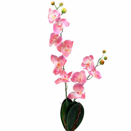 Floristik24 Orchidej Phalaenopsis umělá růžová 60cm