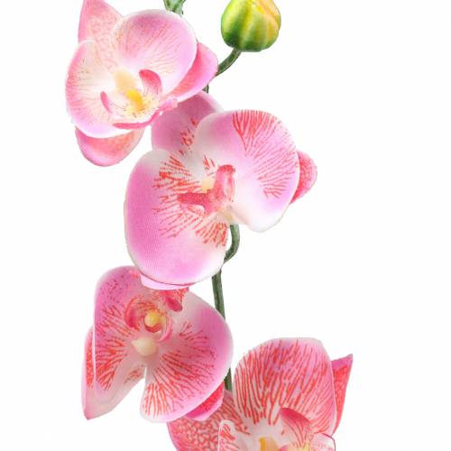Orchidej Phalaenopsis umělá růžová 60cm | Floristik24.cz