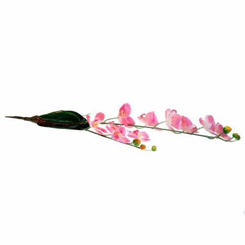 Orchidej Phalaenopsis umělá růžová 60cm | Floristik24.cz