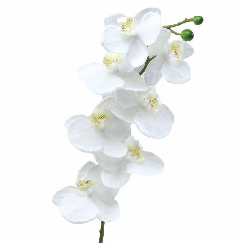 položky Umělá orchidej umělá květina bílá Ø6,5-8cm 77cm