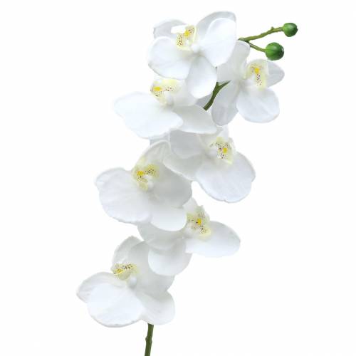 položky Orchidej bílá 77cm