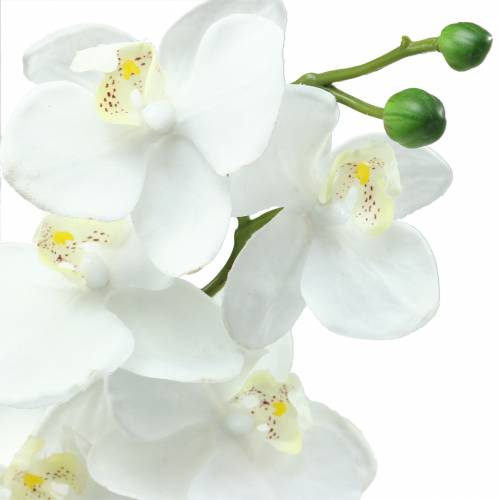 položky Umělá orchidej umělá květina bílá Ø6,5-8cm 77cm