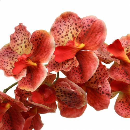 položky Umělá orchidej Phaelaenopsis Červená, Oranžová V81cm