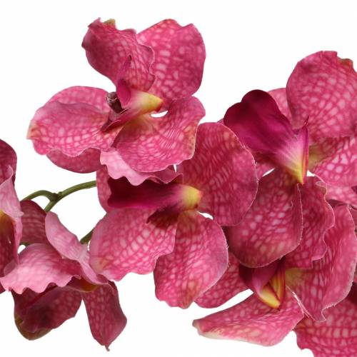 Floristik24 Umělá větev orchideje Růžová V83cm