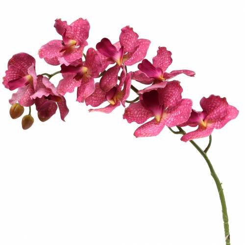 Floristik24 Umělá větev orchideje Růžová V83cm