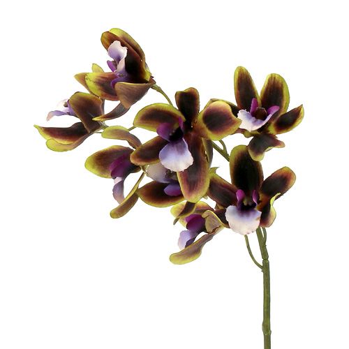 Orchidej Cymbidium zelená, fialová L38cm 4ks
