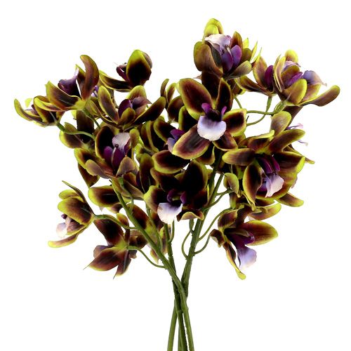 Floristik24 Orchidej Cymbidium zelená, fialová L38cm 4ks