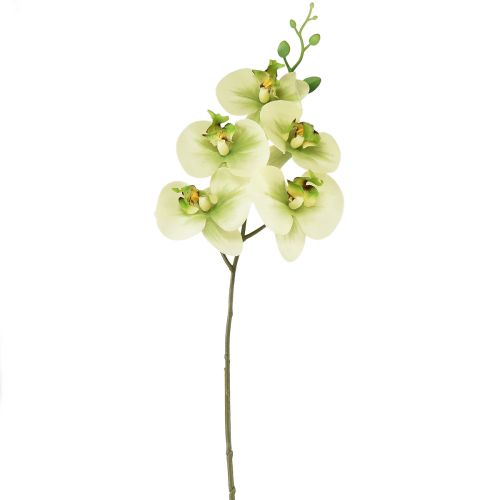 Floristik24 Orchidej umělá žlutá zelená Phalaenopsis 85cm