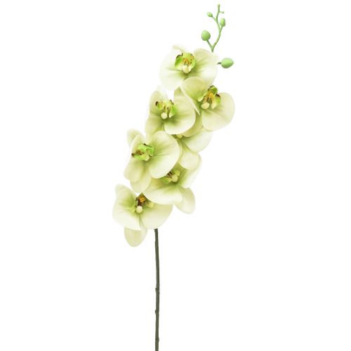 Orchidej umělá žlutá zelená Phalaenopsis L83cm