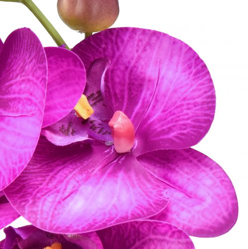 položky Orchidej Umělá Phalaenopsis 4 květy Fuchsie 72cm