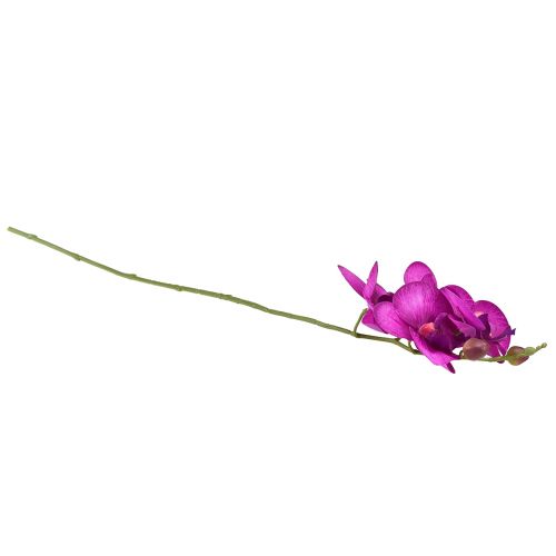 položky Orchidej Umělá Phalaenopsis 4 květy Fuchsie 72cm
