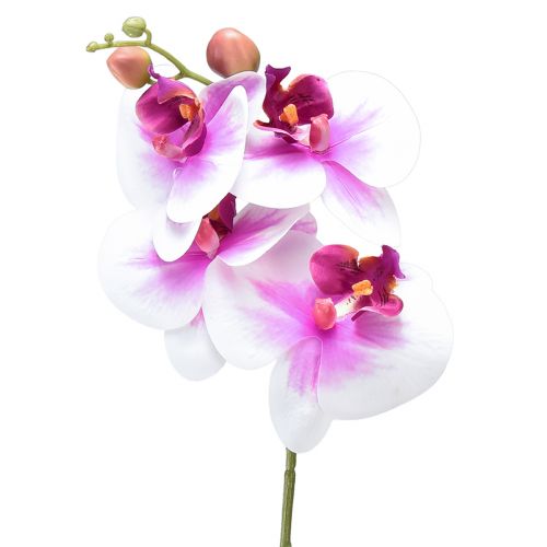 Orchidej umělá Phalaenopsis 4 květy bílá růžová 72cm