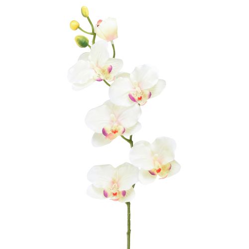 Floristik24 Orchidej Phalaenopsis umělá 6 květů krémově růžová 70cm