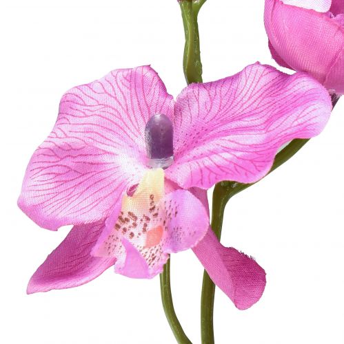 položky Orchidej Phalaenopsis umělá 6 květů fialová 70cm