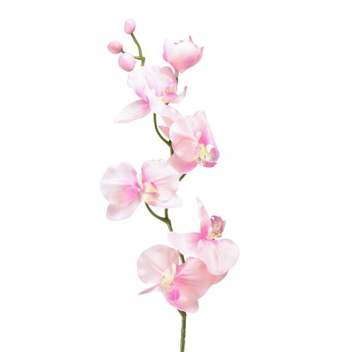 Floristik24 Orchidej Phalaenopsis umělá 6 květů růžová 70cm