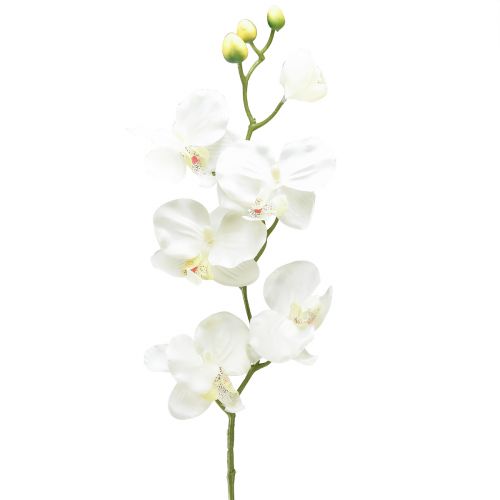 Orchidej Phalaenopsis umělá 6 květů bílá krémová 70cm