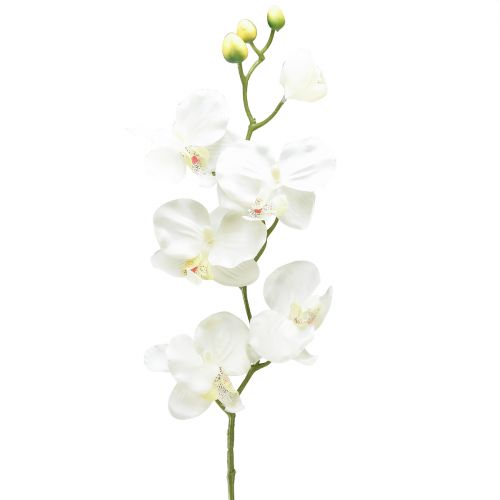 Floristik24 Orchidej Phalaenopsis umělá 6 květů bílá krémová 70cm