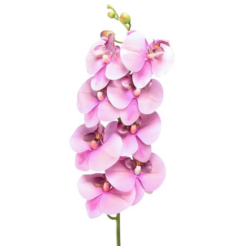 Floristik24 Orchideje Phalaenopsis umělé 8 květů růžové 104cm