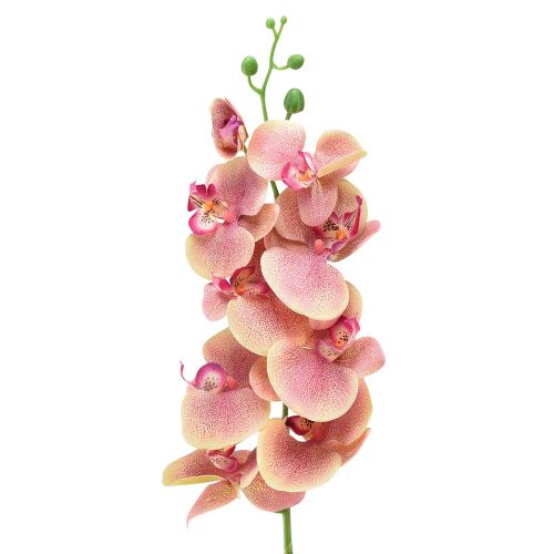 Floristik24 Orchidej Phalaenopsis umělá 9 květů růžová vanilka 96cm