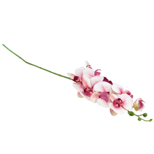 položky Orchideje Phalaenopsis umělé 9 květů bílá fuchsie 96cm