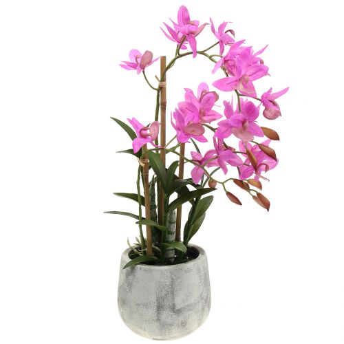 Floristik24 Orchidej ve fialovém květináči H55cm