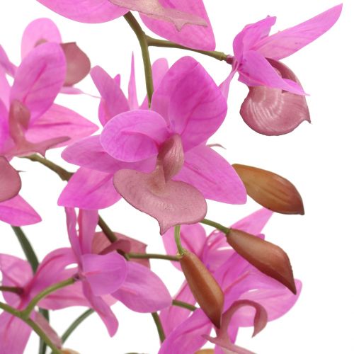 Floristik24 Orchidej ve fialovém květináči H55cm