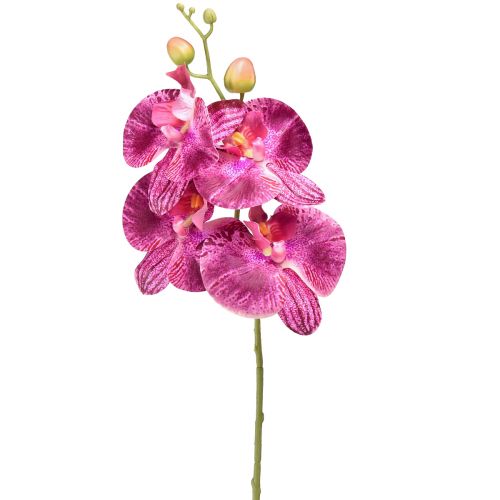 položky Orchidej flambovaná umělá Phalaenopsis fialová 72cm