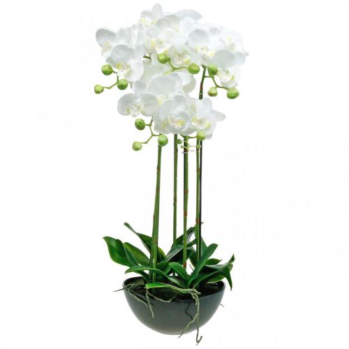 Floristik24 Umělá orchidej v květináči bílá umělá rostlina 63cm