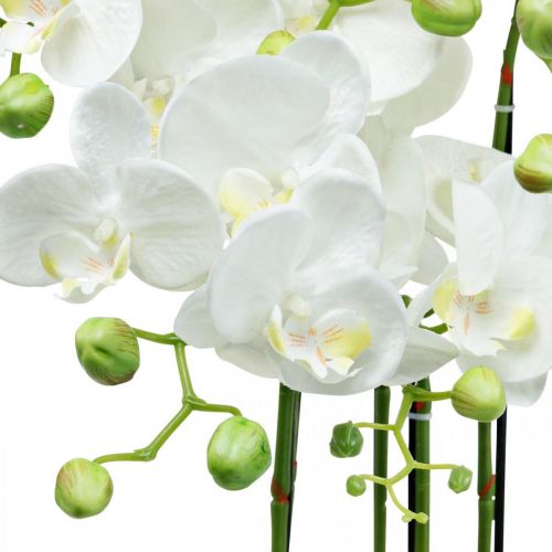 Floristik24 Umělá orchidej v květináči bílá umělá rostlina 63cm