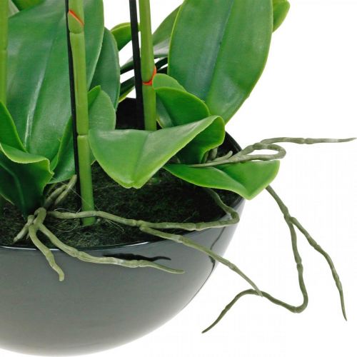 Floristik24 Umělá orchidej v květináči bílá umělá rostlina 63cm